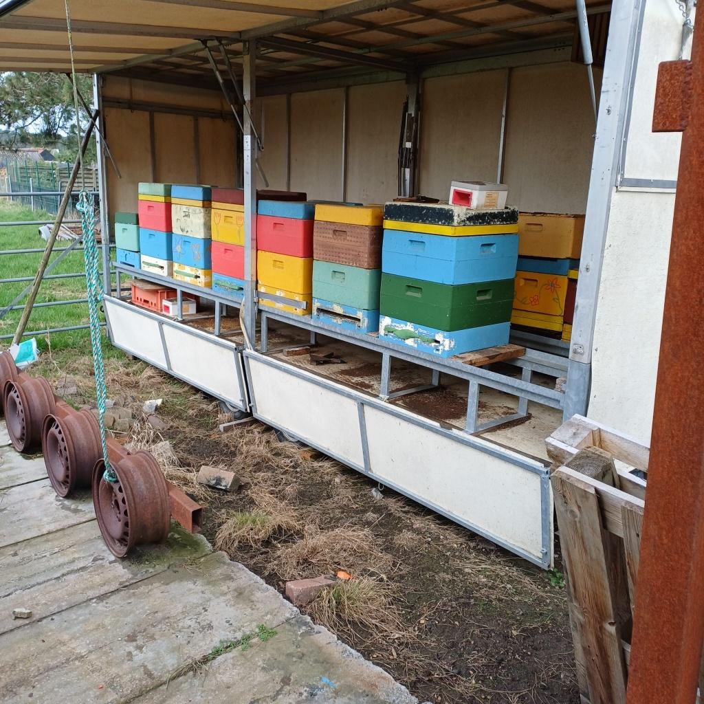 Bijen remork / bijen stal, December, Geslacht onbekend