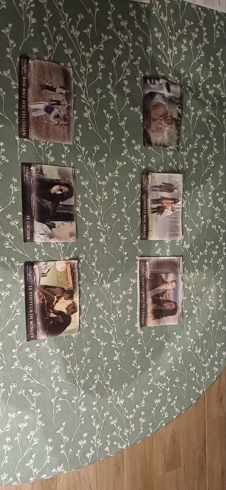 cartes de l'année du crépuscule : 2008, Hobby & Loisirs créatifs, Timbres épargne, Enlèvement ou Envoi, Autres types