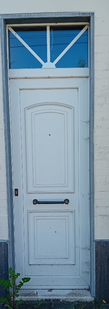 Porte d'entrée en PVC, Bricolage & Construction, Porte extérieure, Synthétique, Enlèvement, 215 cm ou plus