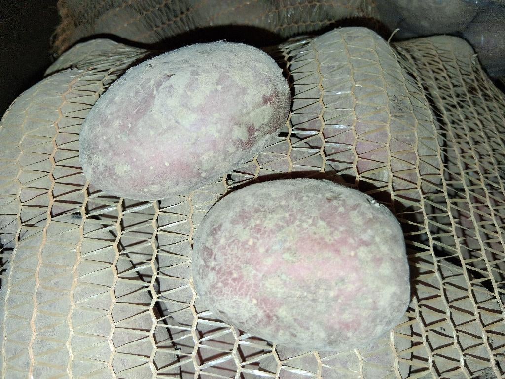 aardappelen laura, Zakelijke goederen, Ophalen