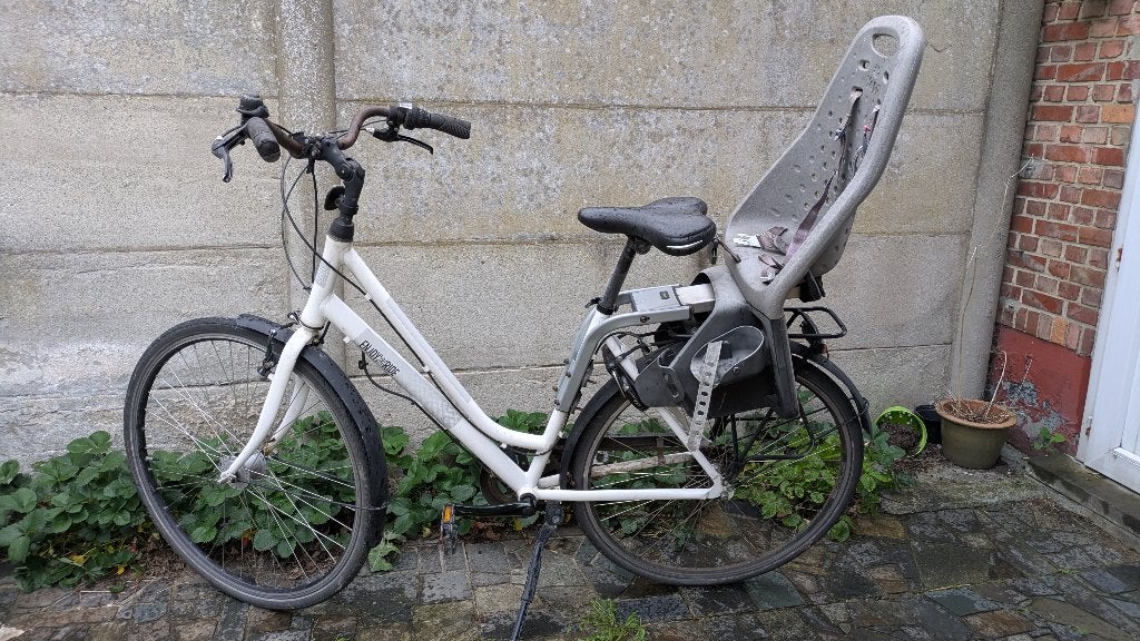 Damesfiets met kinderzitje (Yepp), Versnellingen, Schijfrem, Ophalen, Overige merken