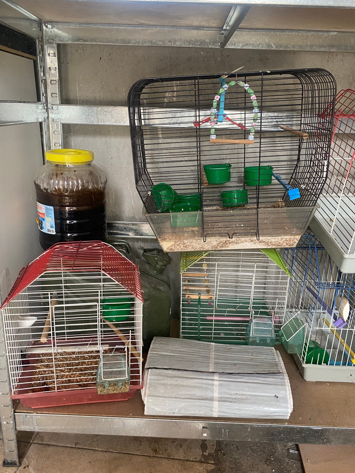 Cage à Oiseau, Enlèvement, Comme neuf