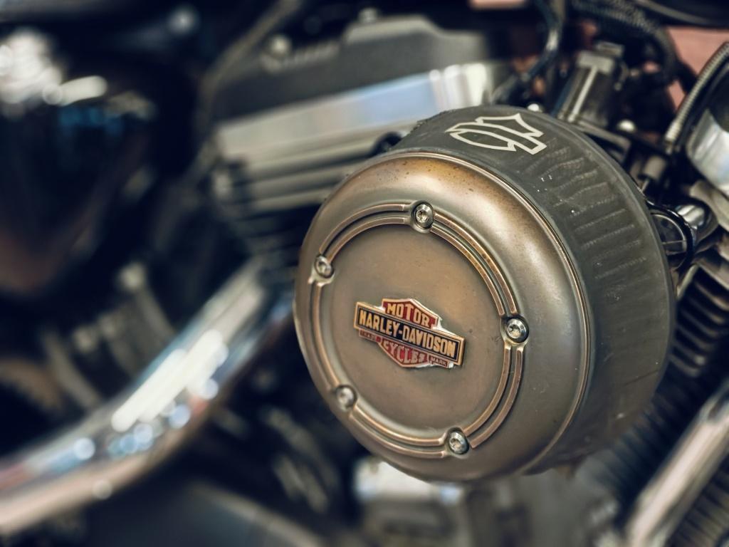 Harley-Davidson SPORTSTER XL1200CX ROADSTER (bj 2019), Motoren, Motoren | Harley-Davidson, Bedrijf, Overig, 1200 cc, ABS