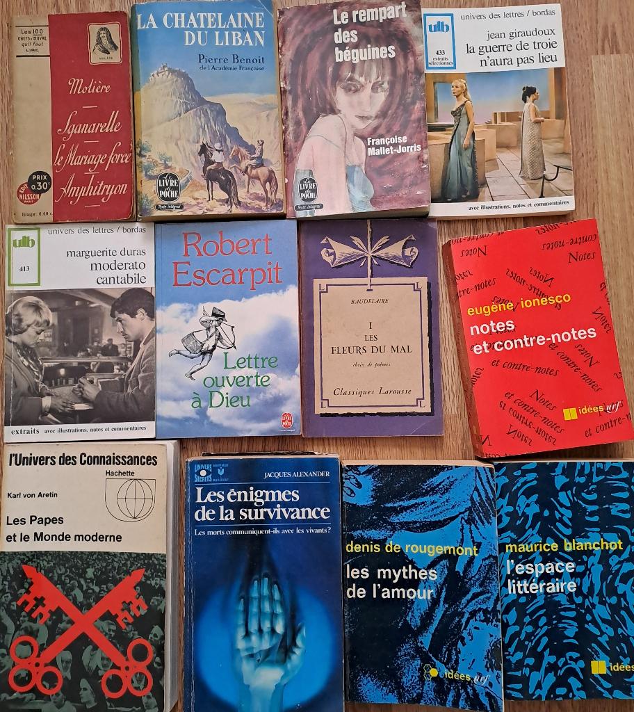 Lot franstalige boeken, Boeken, Ophalen, Gelezen