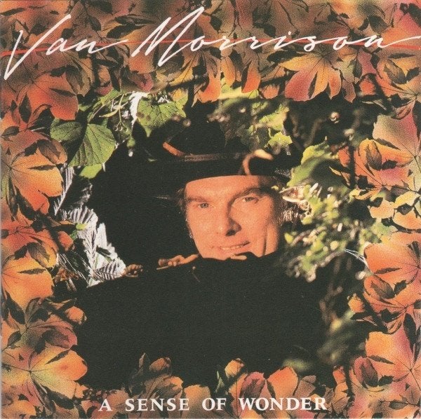 VAN MORRISON « A SENSE OF WONDER », CD & DVD, CD | Jazz & Blues, Enlèvement, 1980 à nos jours, Comme neuf, Blues