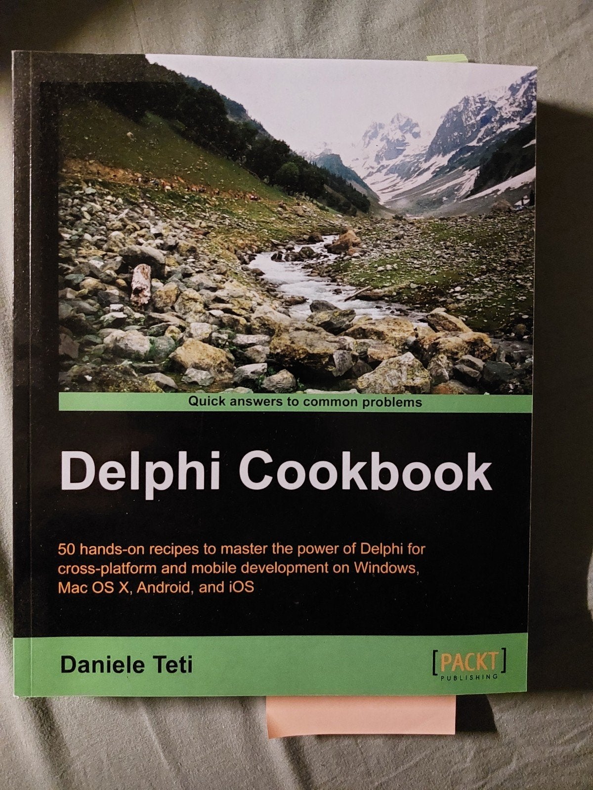 delphi cookbook, Ophalen of Verzenden, Nieuw, Programmeertaal of Theorie