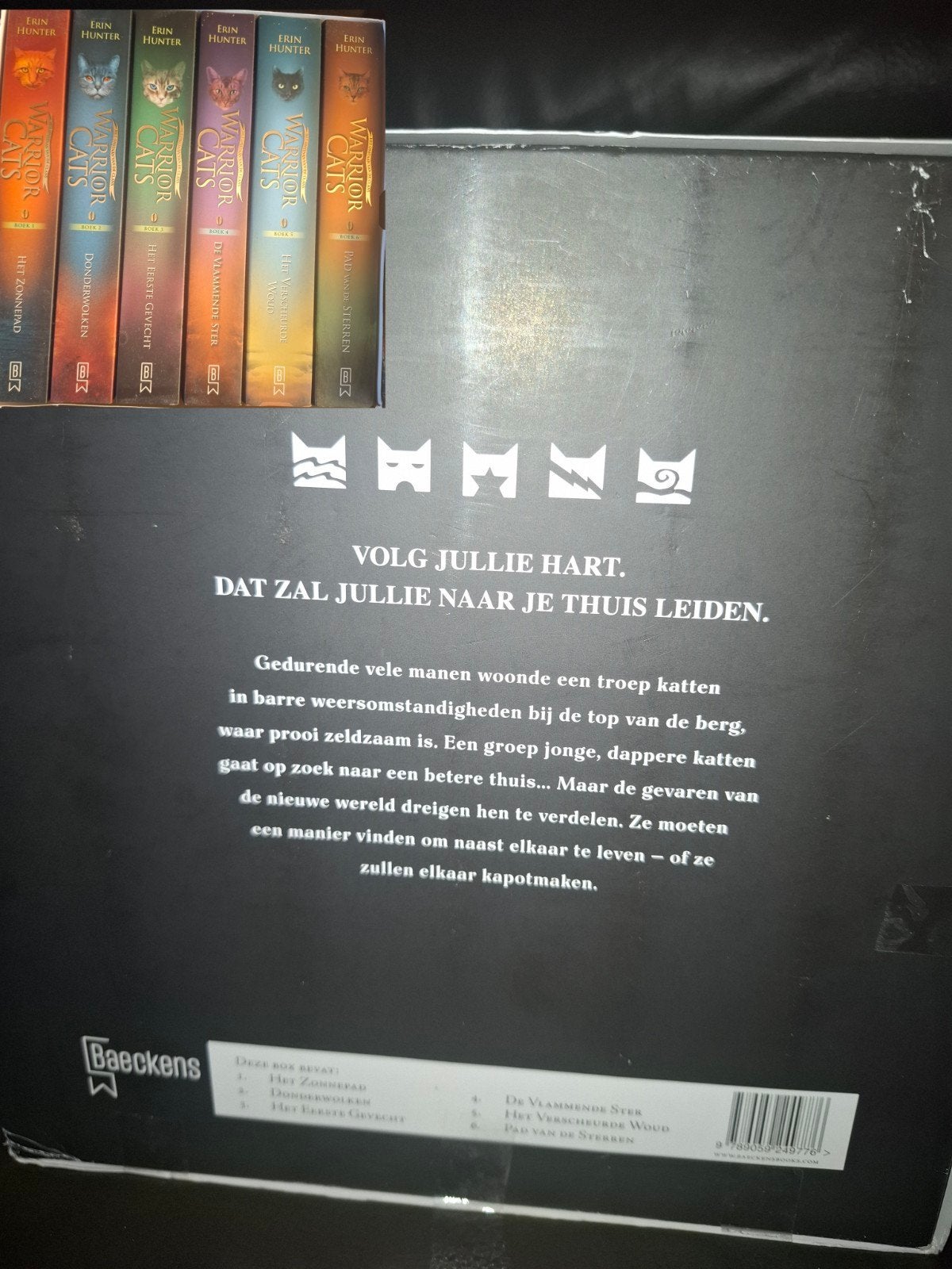 Erin Hunter - Warrior Cats box - serie 0-4, Boeken, Ophalen, Erin Hunter, Zo goed als nieuw, Fictie
