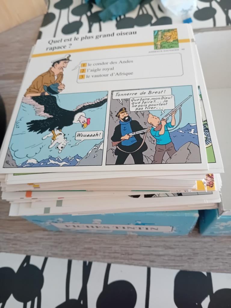 36 fiches tintin