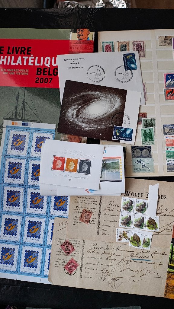 Livre philatélique Belge 2007 timbres Belgique Congo, Timbres & Monnaies, Timbres | Europe | Belgique, Envoi, Non oblitéré, Europe