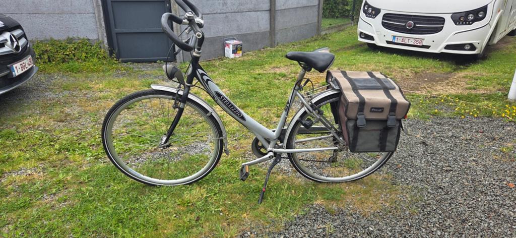 Damesfiets(stellizzio), Fietsen en Brommers, Ophalen