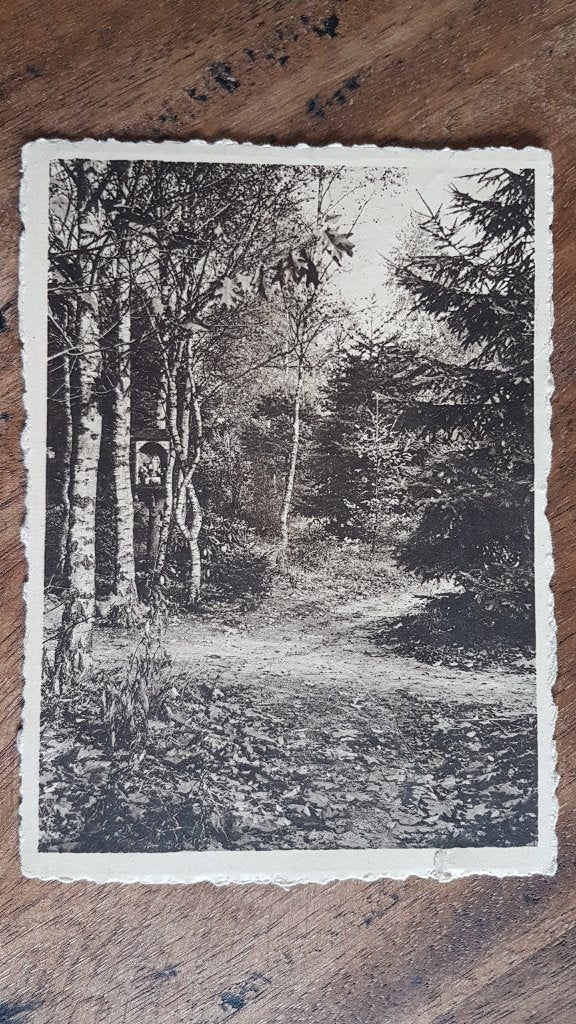 Postkaart Minderhout Mariaveld kloosterheide, Verzamelen, Ophalen of Verzenden, 1940 tot 1960, Ongelopen, Antwerpen