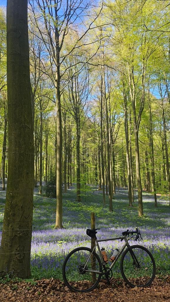 Par Nicholas Yukon Rohloff Gates Titanium Gravel/Tour/Cross, Autres marques, 10 à 15 vitesses, Comme neuf, Enlèvement