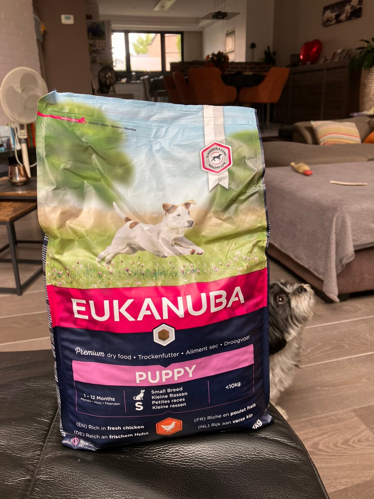Nourriture pour chiots Eukanuba 3 kg, Animaux & Accessoires, Enlèvement, Chien