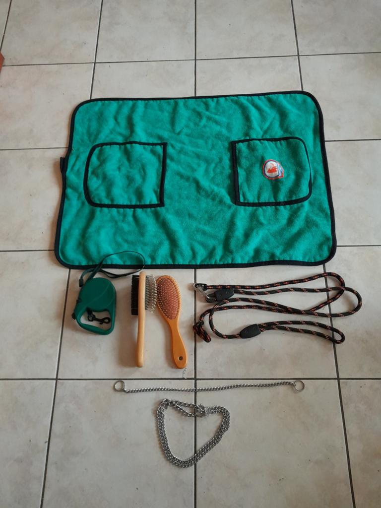 Hond toebehoren, Dieren en Toebehoren, Ophalen