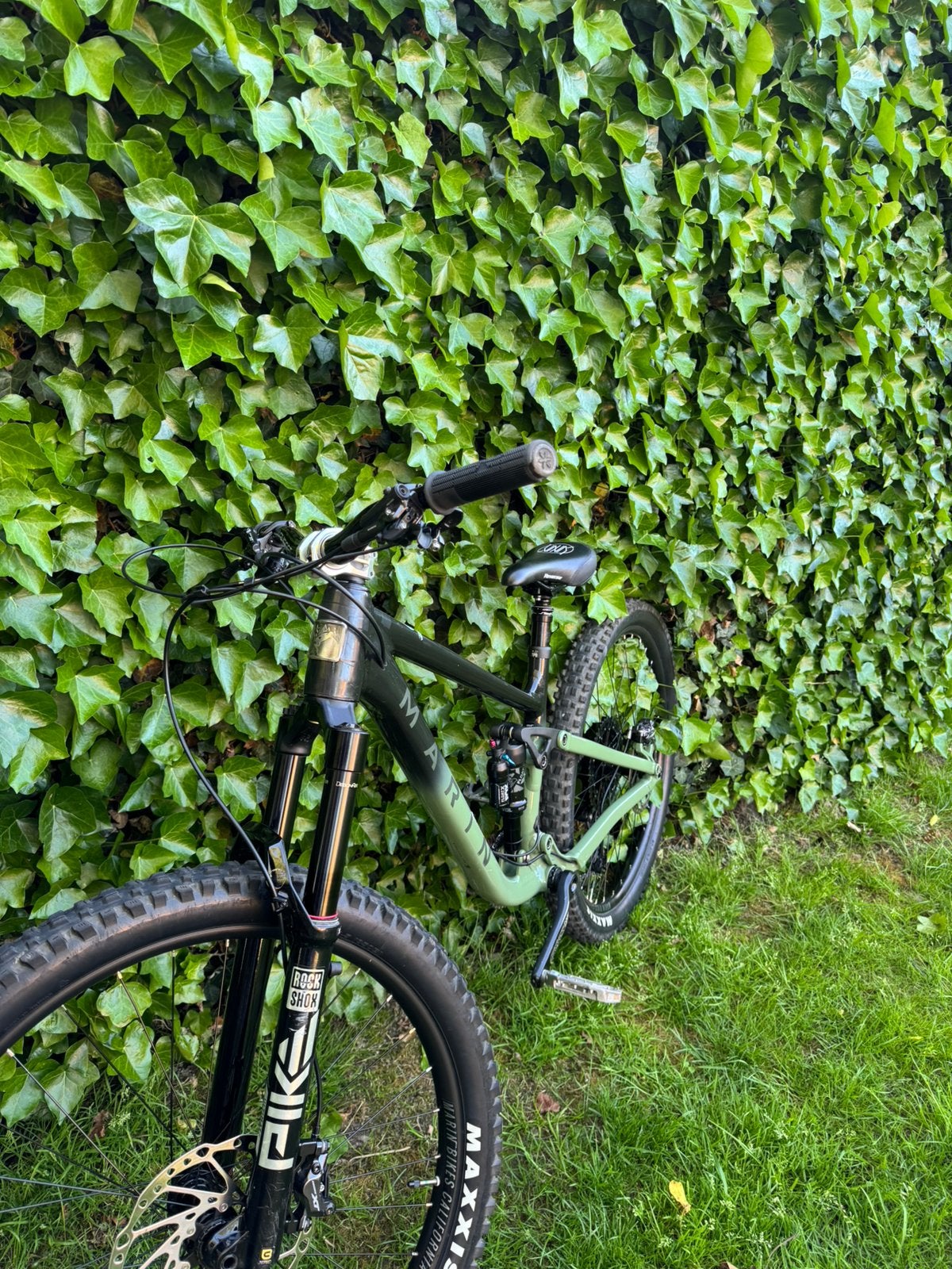 Marin rift zone 2xr, Nieuw, 49 tot 53 cm, Schijfrem, Ophalen