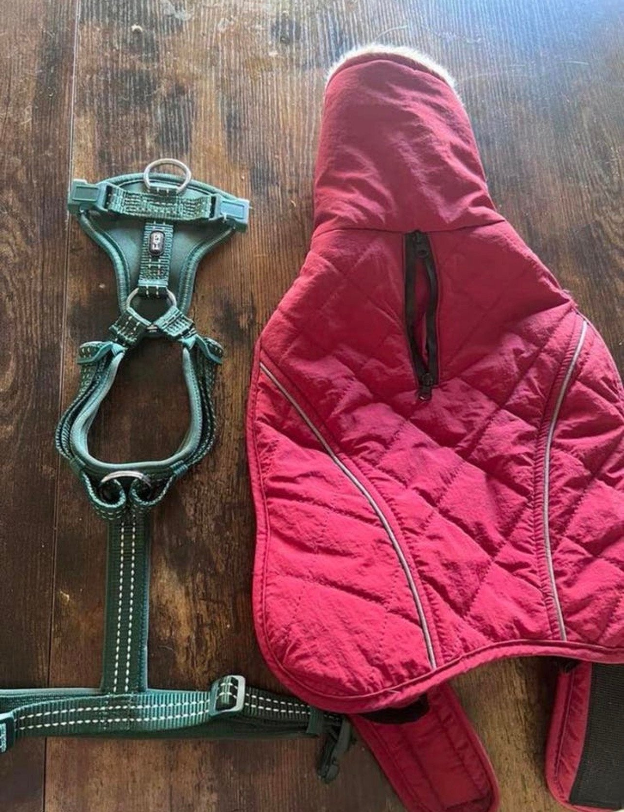 Hondentuigje + jas, Dieren en Toebehoren, Hondenkleding, Zo goed als nieuw, Hondenjas, Ophalen