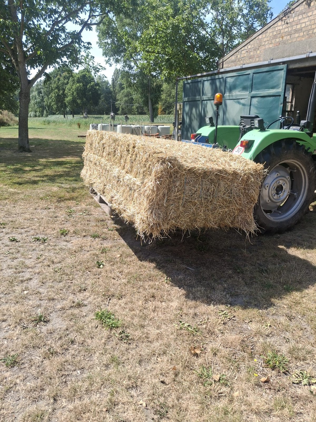 Hooi voor paarden
