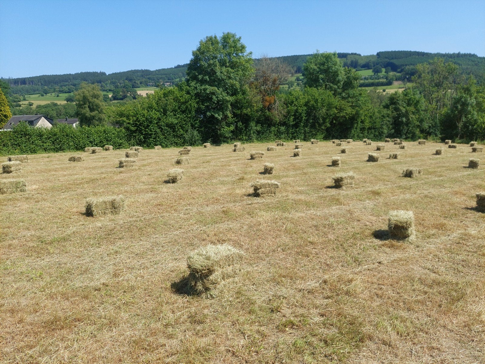 Botte de foin, Enlèvement