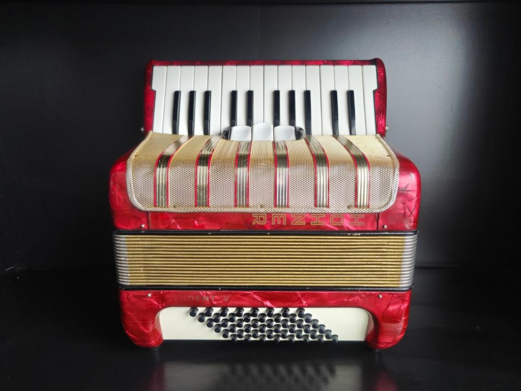 Hohner Stundent V, Muziek en Instrumenten, Accordeons, Hohner, Ophalen of Verzenden