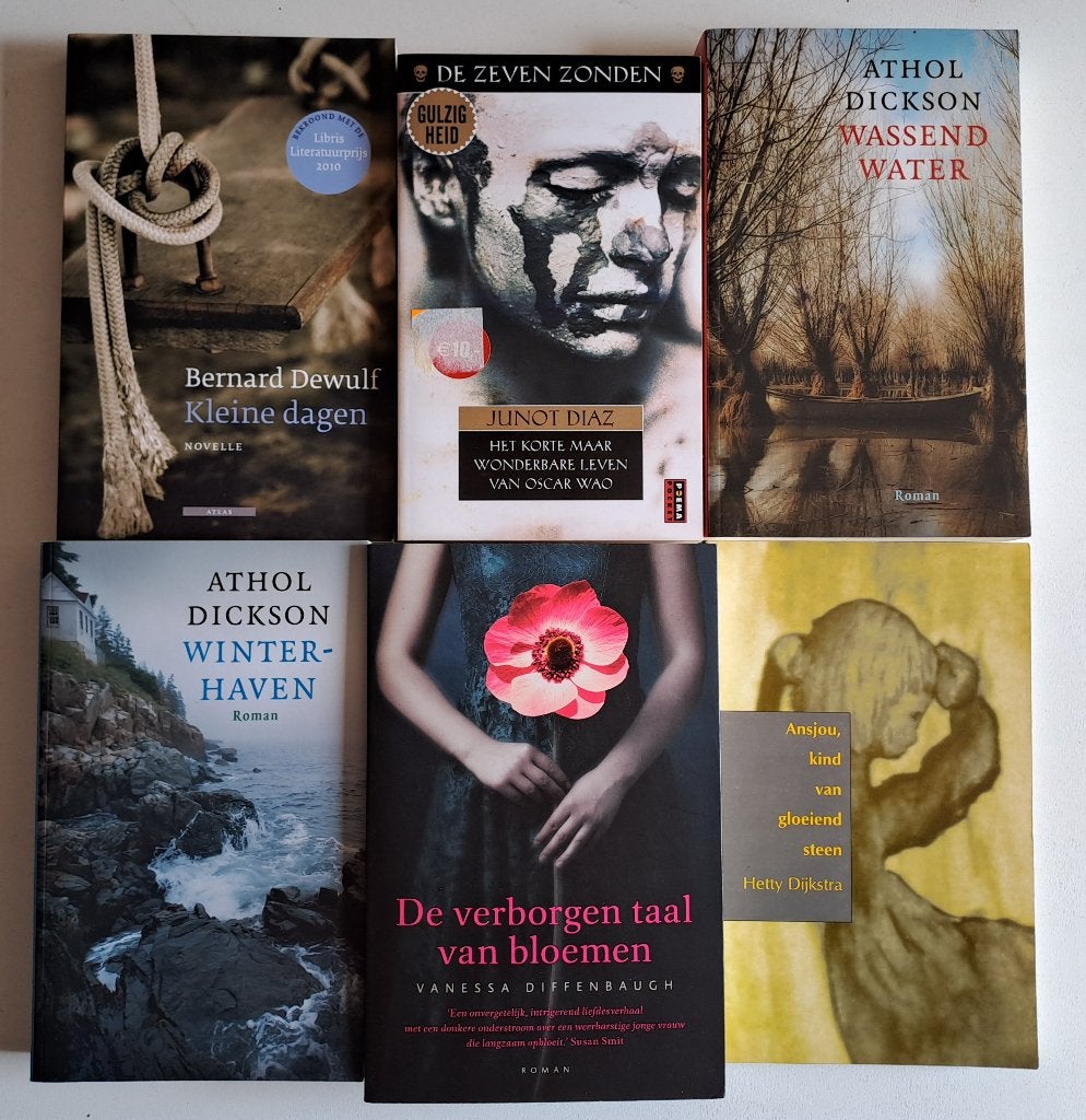 Romans & Literatuur (7), Ophalen of Verzenden, Gelezen
