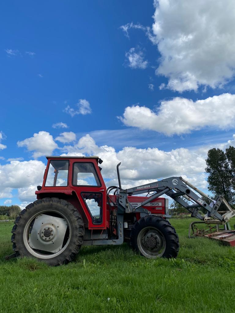 Massey Ferguson 365- 4WD tractor, Zakelijke goederen, Ophalen, Massey Ferguson