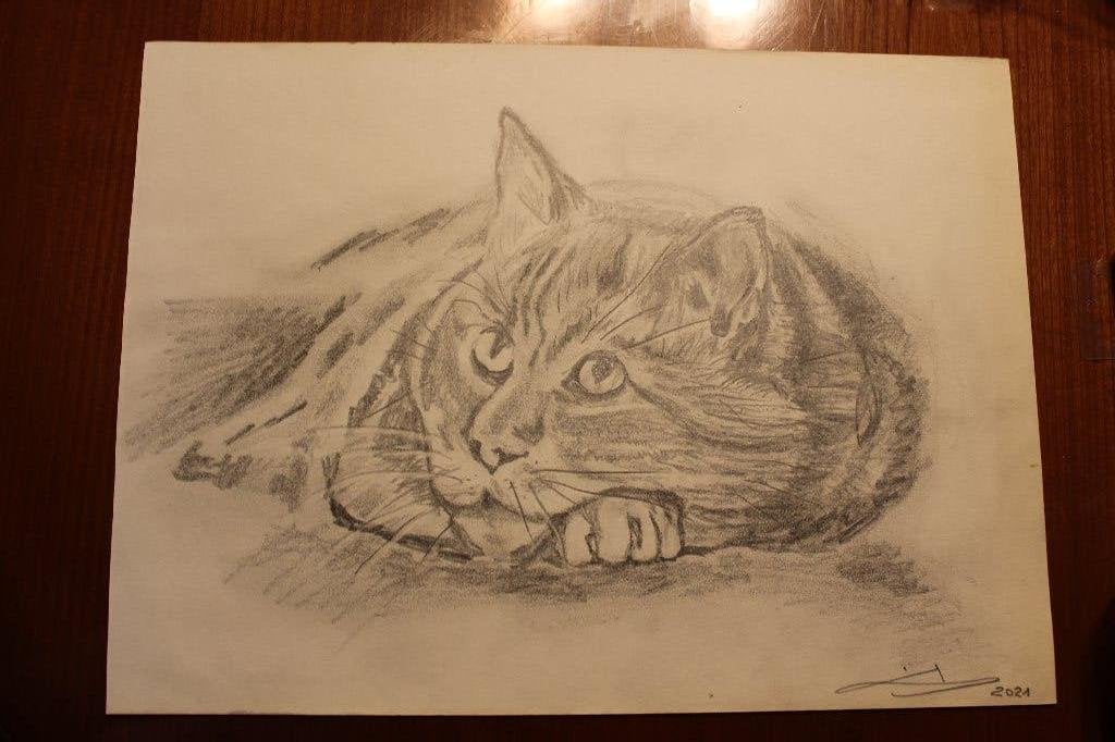 A3-potloodtekening, Ophalen of Verzenden, Nieuw, Potlood of Stift