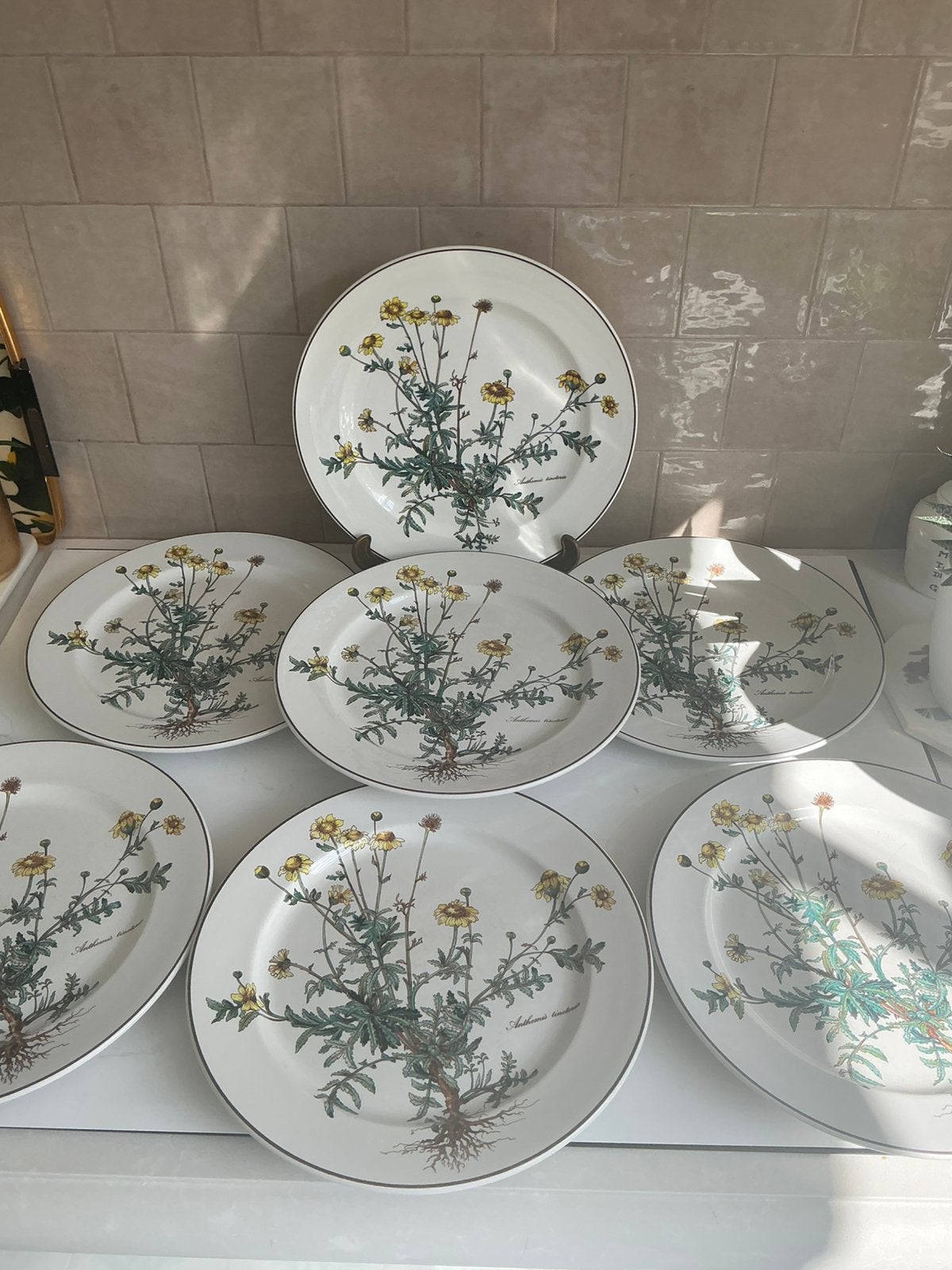 Villeroy & Boch Botanica borden, Ophalen of Verzenden, Villeroy & Boch, Bord(en)