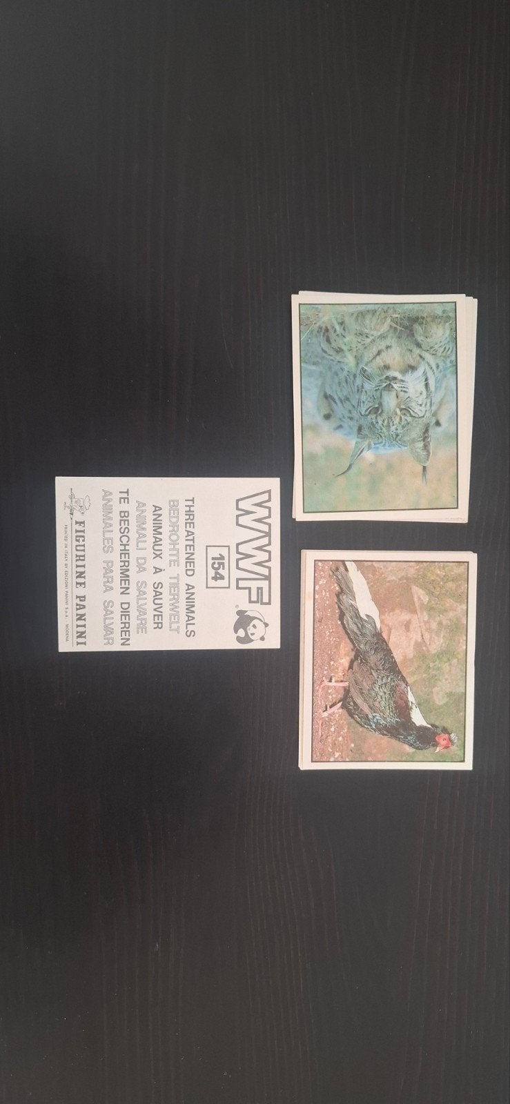 panini wwf, Enlèvement ou Envoi