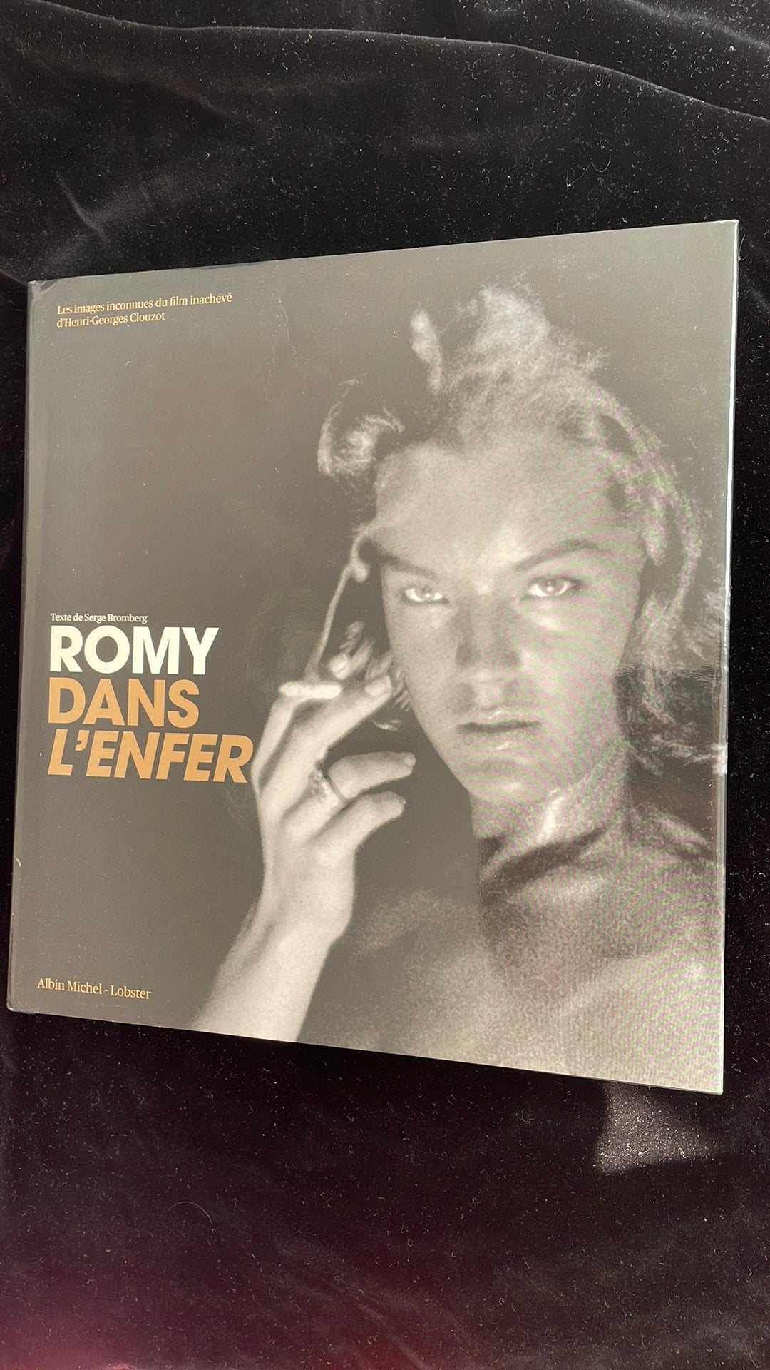 ROMY SCHNEIDER BOOK Romy dans l’enfer -  albin michel, Cd's en Dvd's, Vinyl | Jazz en Blues, Ophalen of Verzenden, Gebruikt