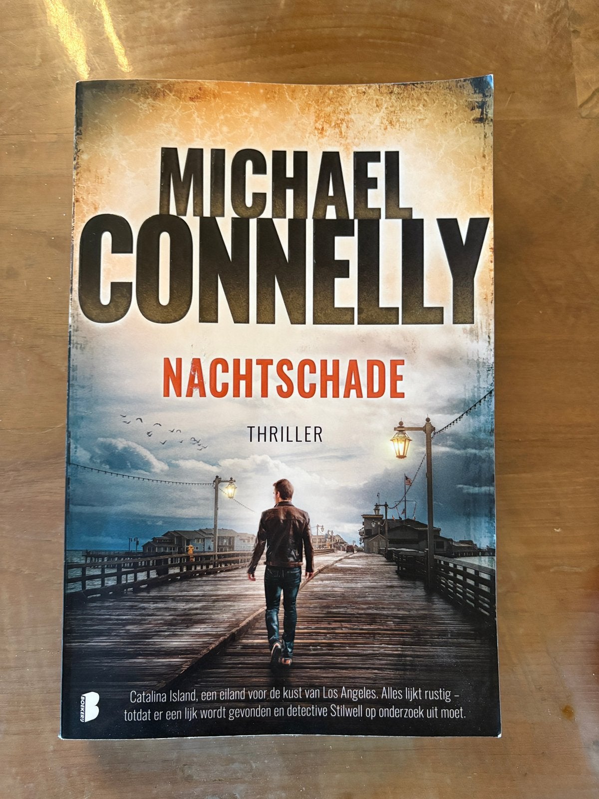 Boek thriller ‘Nachtschade’, Ophalen of Verzenden, Zo goed als nieuw