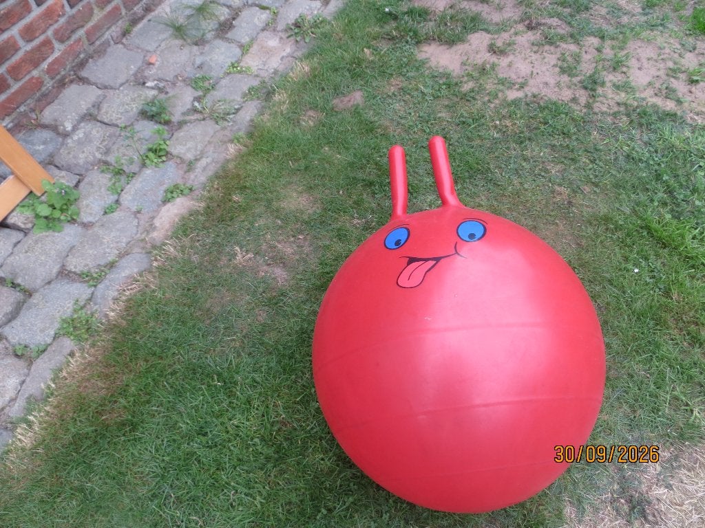 springbal, Kinderen en Baby's, Ophalen, Gebruikt