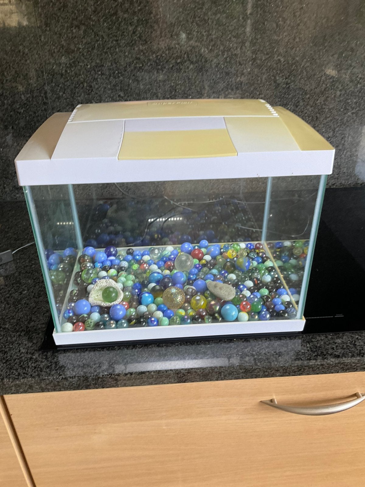 Vis aquarium gl, Vissenkom, Gebruikt, Overige merken, Ophalen