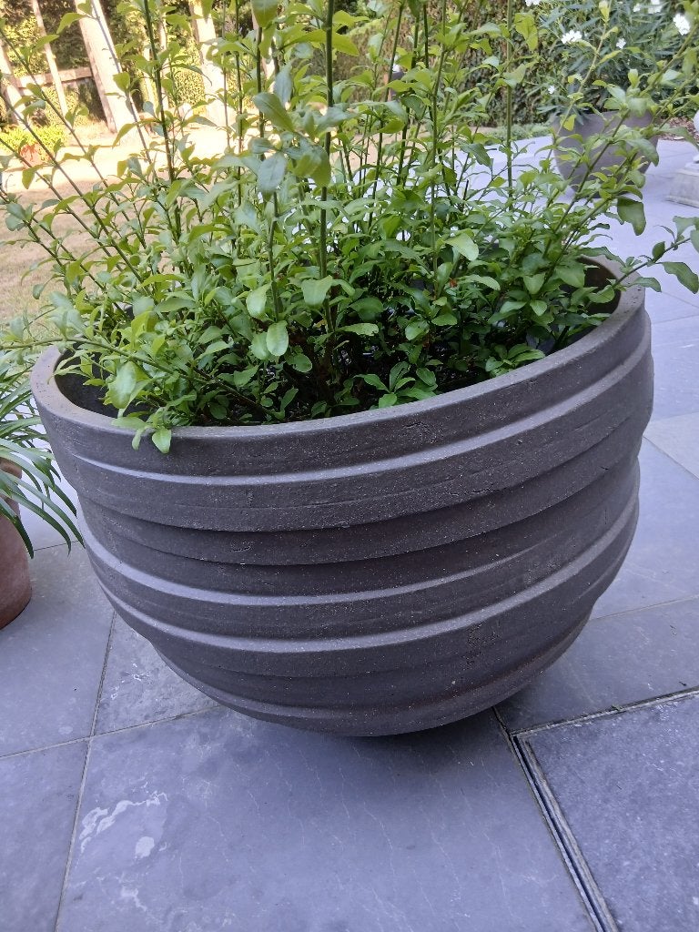 grijze terracotta pot, Ophalen, Zo goed als nieuw