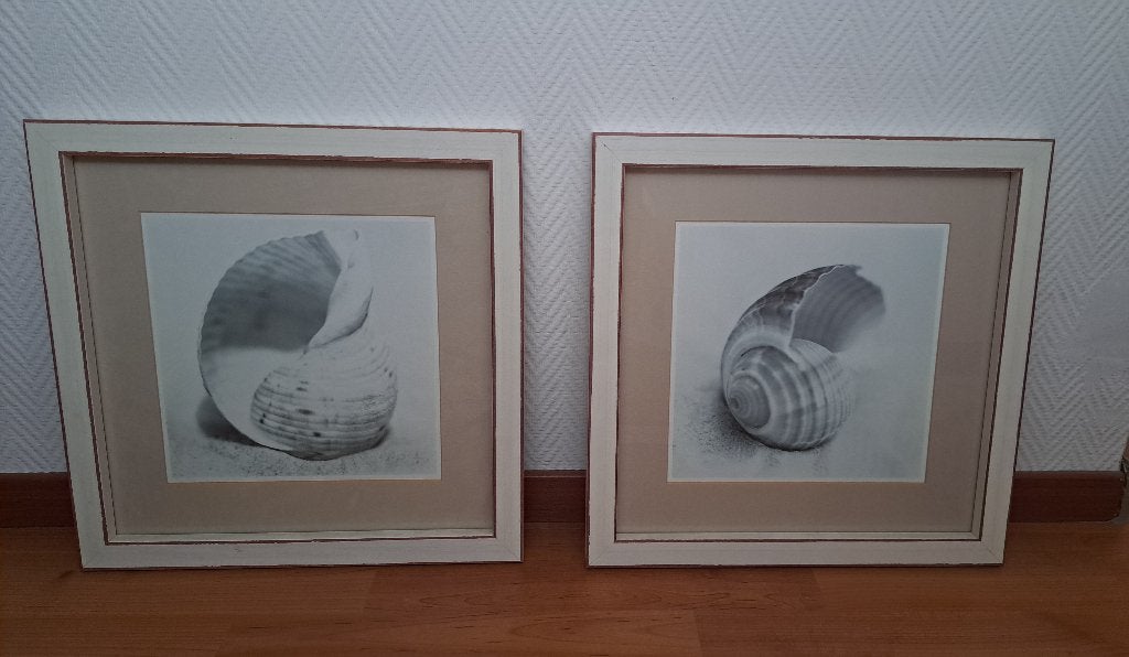 2 kaders met schelp, Ophalen, Zo goed als nieuw