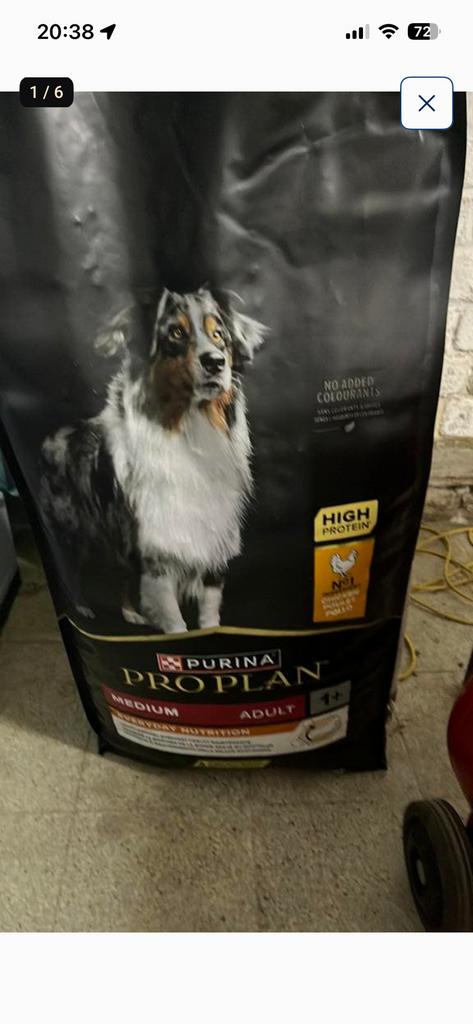 Sac purina proplan 14 kg chien médium 1+ scellé, Enlèvement, Chien