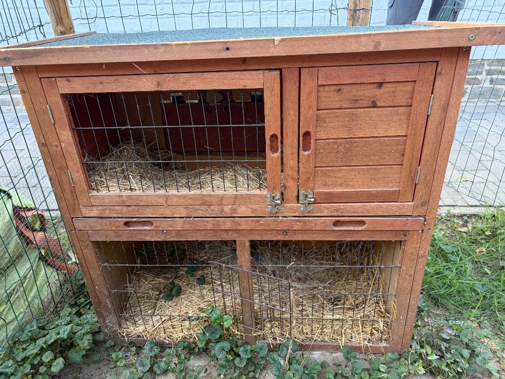 Konijnenverblijf, hok, Ophalen, Gebruikt, 60 tot 90 cm, Hamster