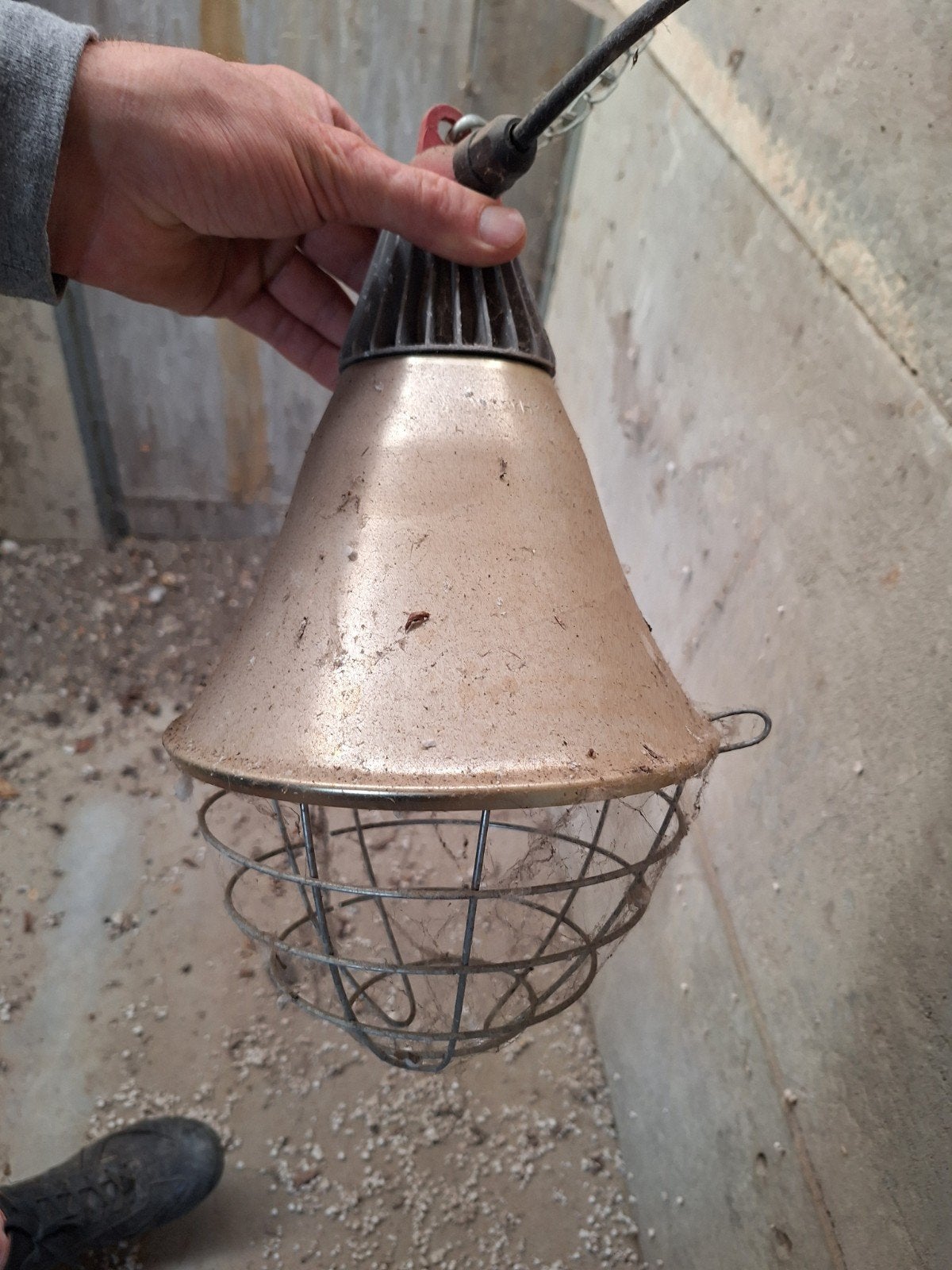 Warmtelamp, Ophalen