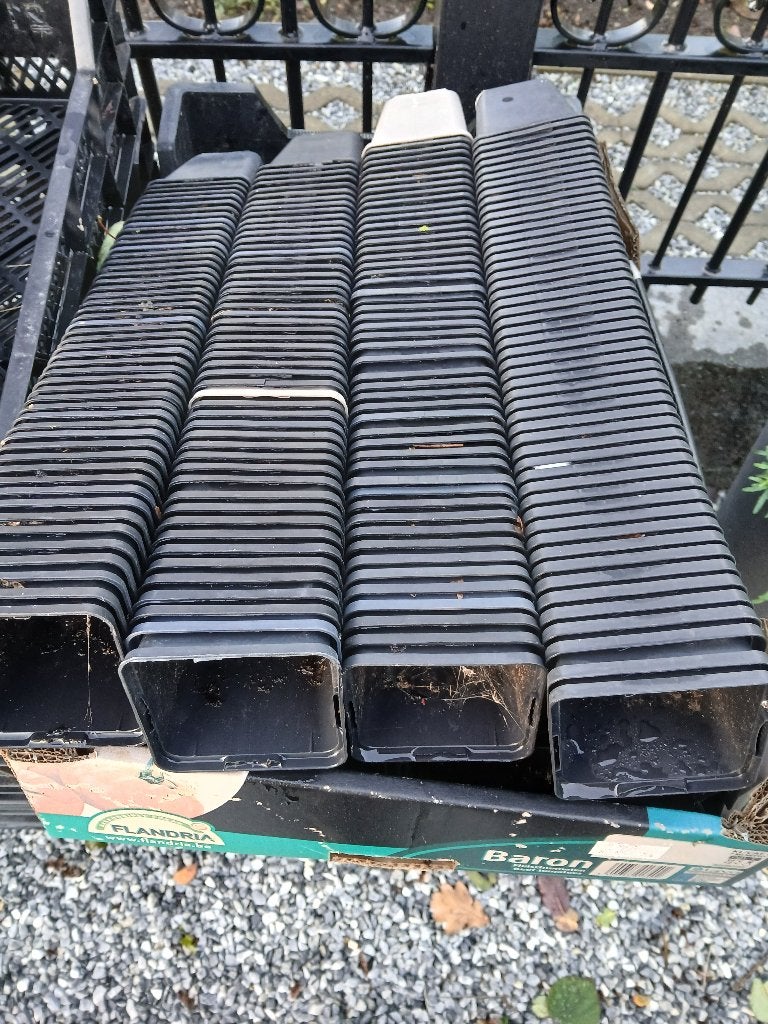P9 potjes, Tuin en Terras, Ophalen, Kunststof, Gebruikt, Vierkant