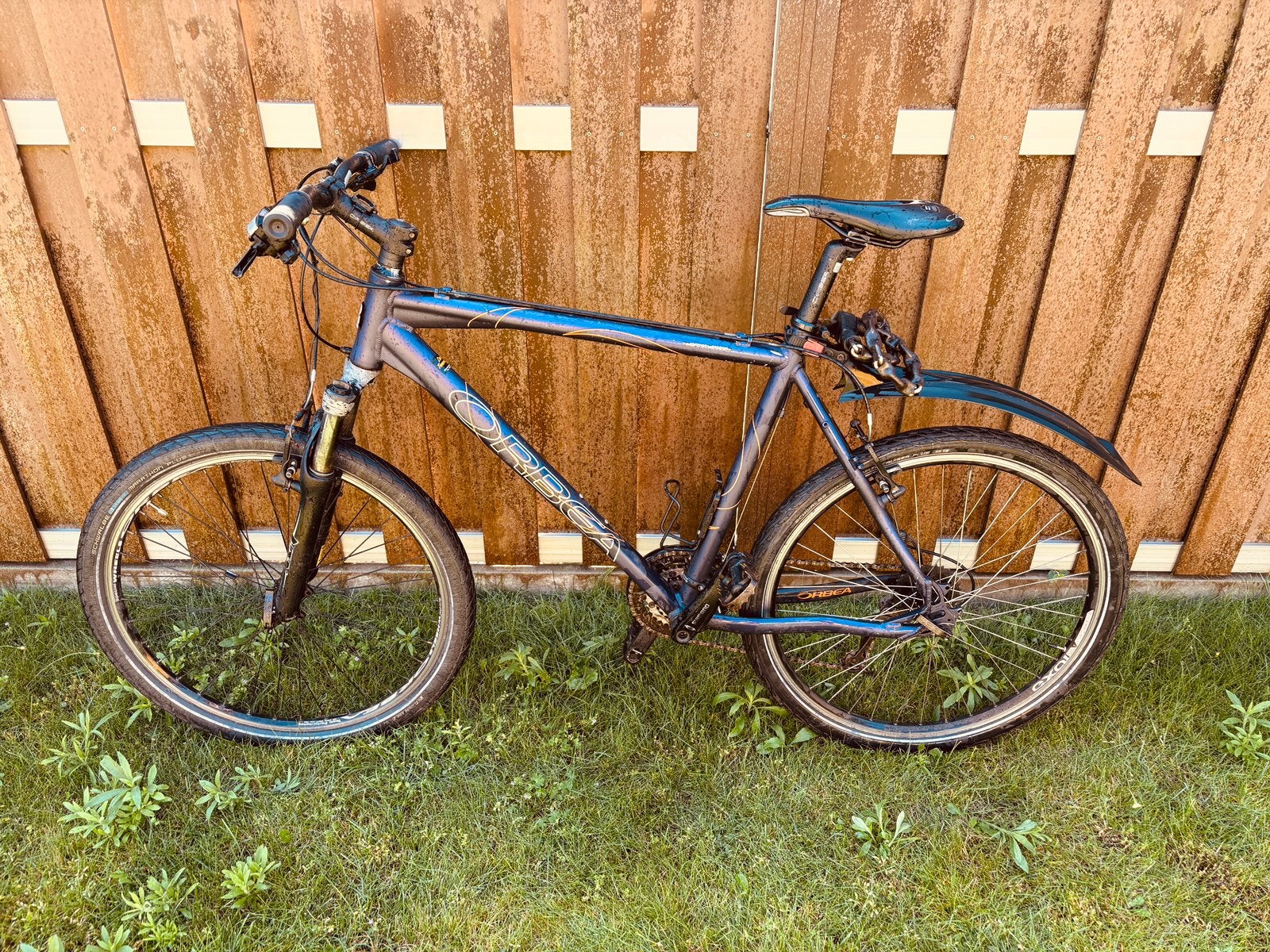 Vélo de montagne pour hommes, 26 pouces, Frein sur jante, Enlèvement, Plus de 20 vitesses