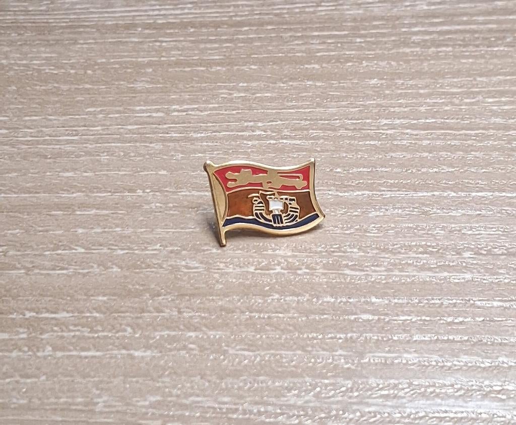 PIN - VLAG - DRAPEAU, Envoi, Utilisé, Ville ou Campagne, Insigne ou Pin's