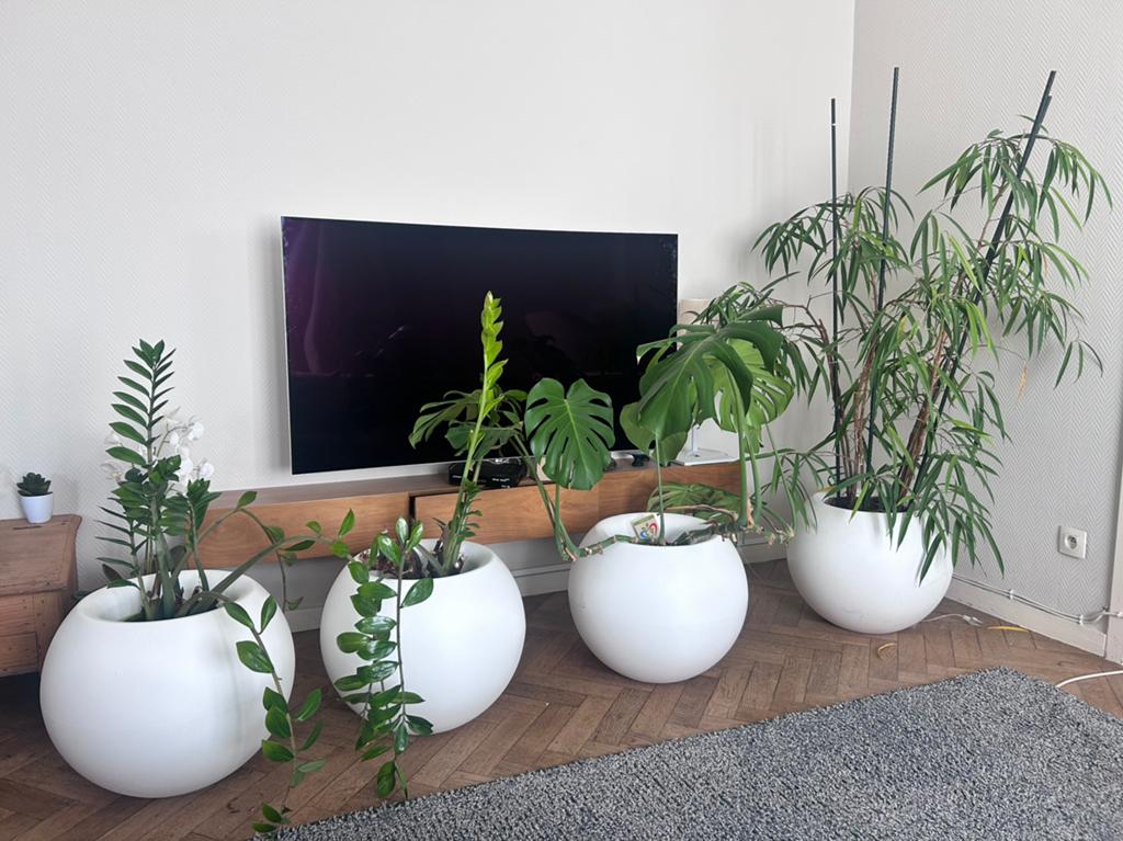 4 JARDINIERES sphérique interieur exterieur ELHO, Enlèvement