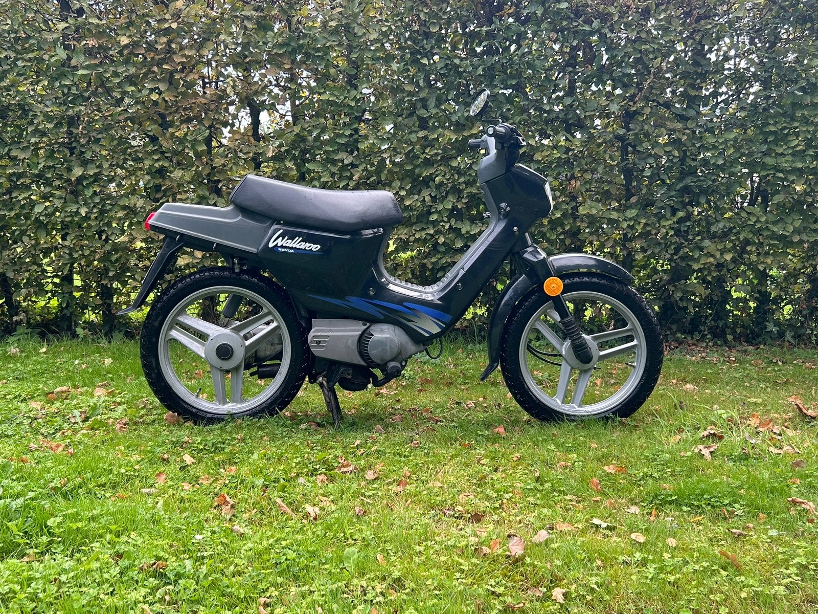 Honda wallaroo a klasse, Fietsen en Brommers, Ophalen, Zo goed als nieuw, Klasse A (25 km/u), 50 cc