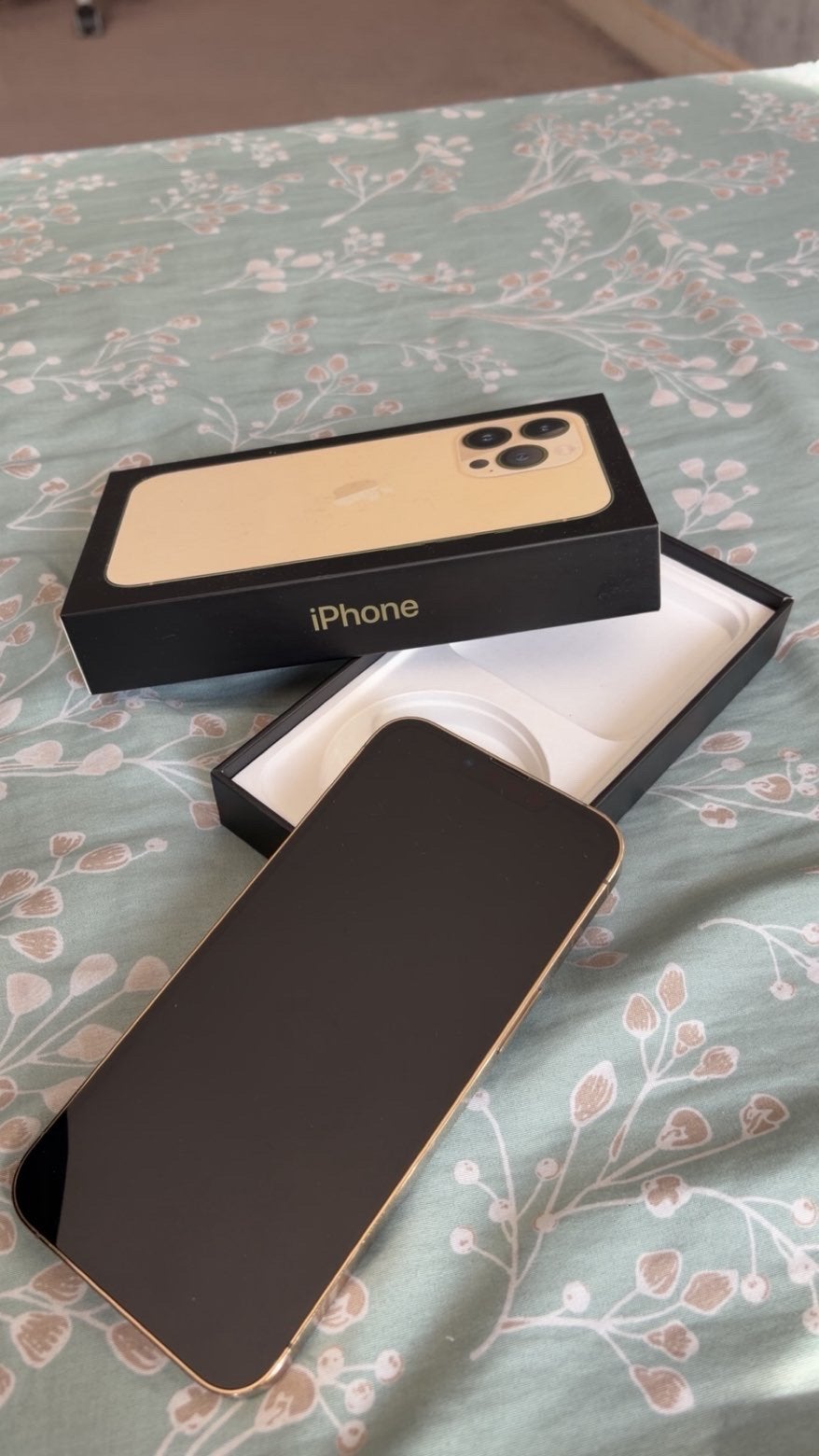 Iphone 13pro, Telecommunicatie, Mobiele telefoons | Hoesjes en Screenprotectors | Apple iPhone, Ophalen, Zo goed als nieuw, IPhone 13