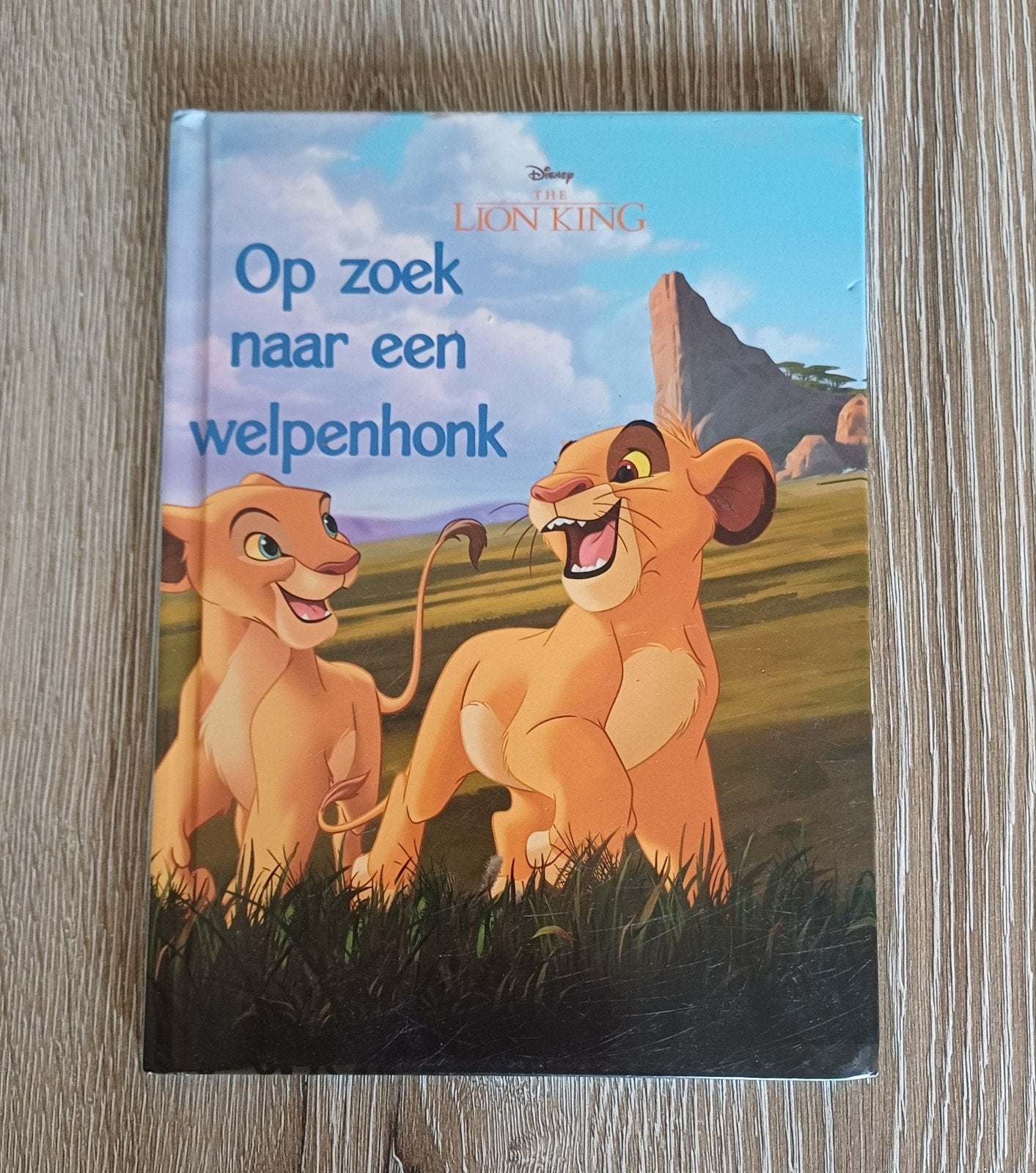 Disney The Lion King - Op zoek naar een welpenhonk, Jongen of Meisje, Ophalen of Verzenden, Zo goed als nieuw, Voorleesboek