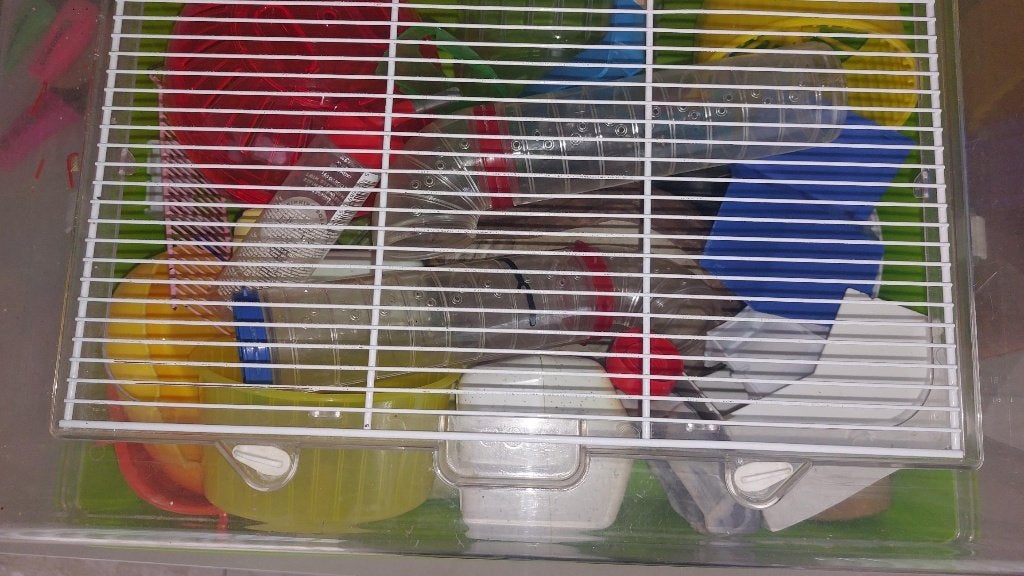 Hamsterkooi met diverse toebehoren, Ophalen, Gebruikt, Kooi, Cavia