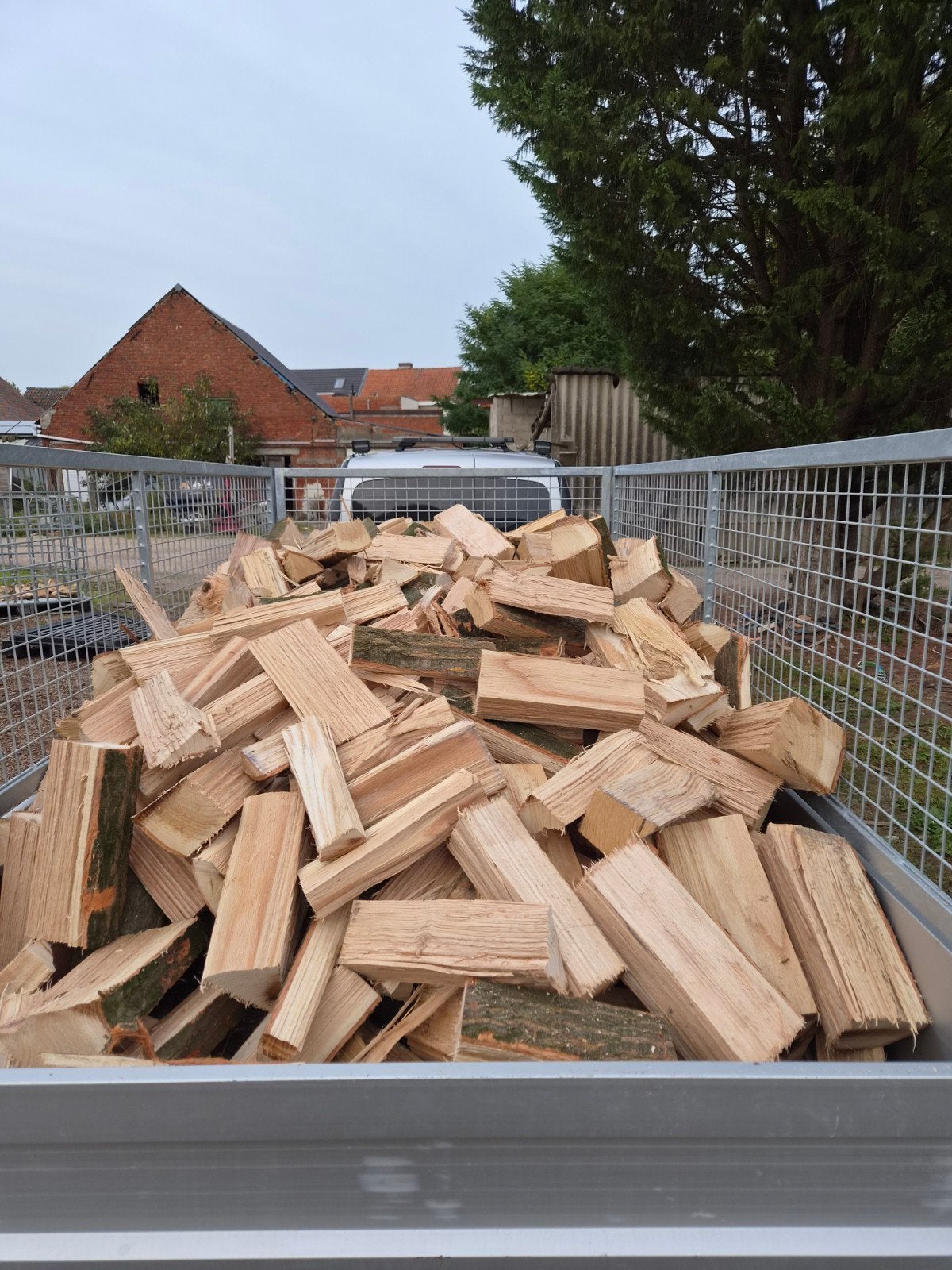 EIKEN BRANDHOUT – DIRECT LEVERBAAR!, Ophalen