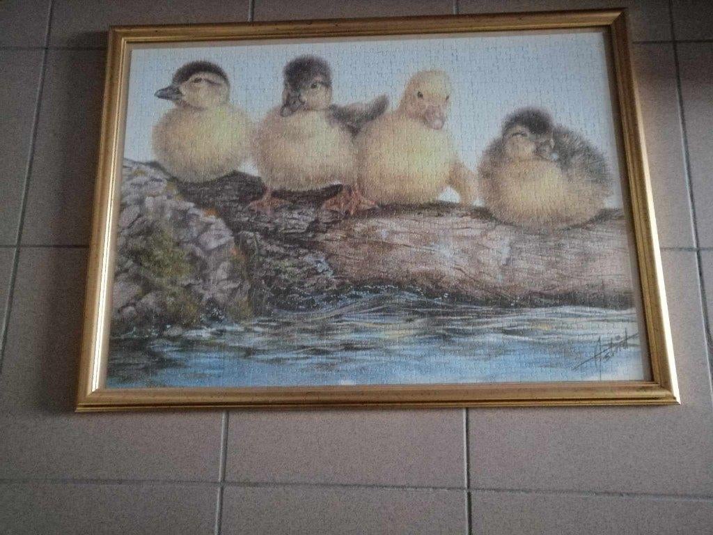 Puzzel in kader, Ophalen