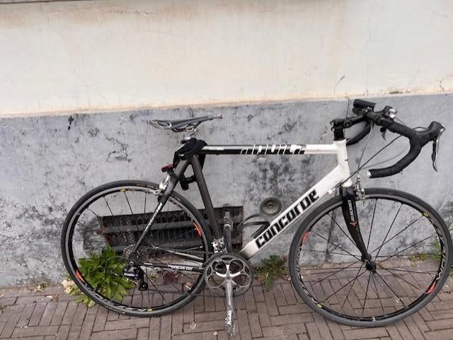 racefiets concorde, Gebruikt, Carbon, 15 tot 20 versnellingen, 57 tot 61 cm