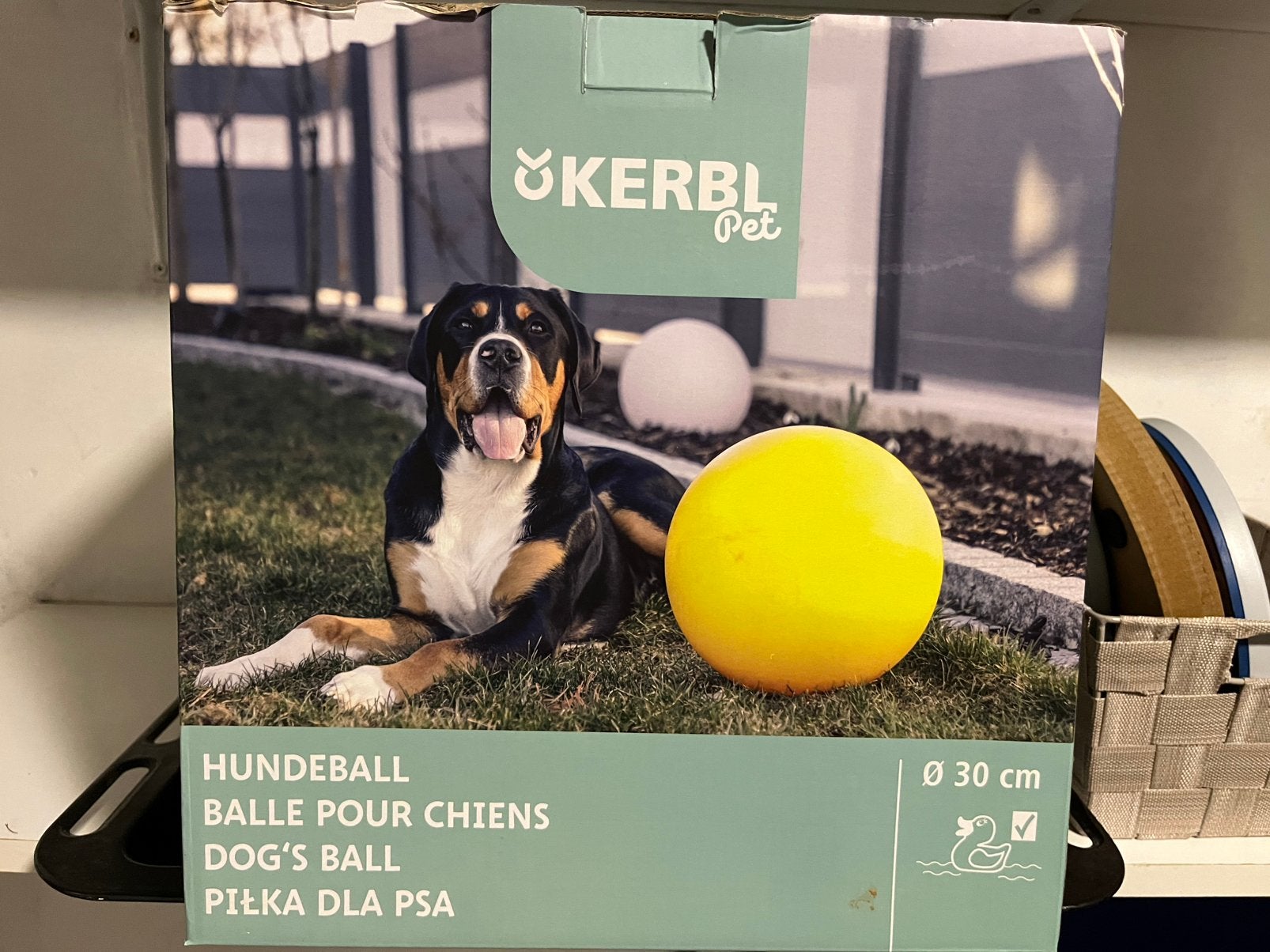 Hondenspeelbal, Animaux & Accessoires, Jouets pour chiens, Enlèvement, Neuf