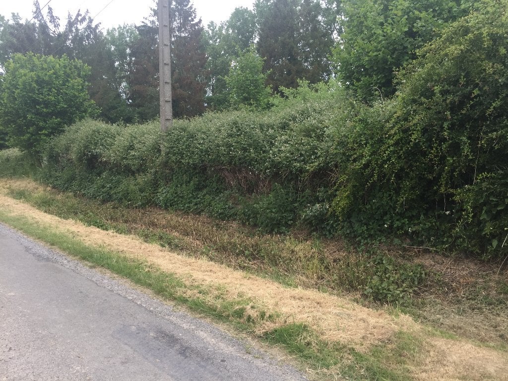 terrain et maison, 3 pièces, France, Village, 110 m²